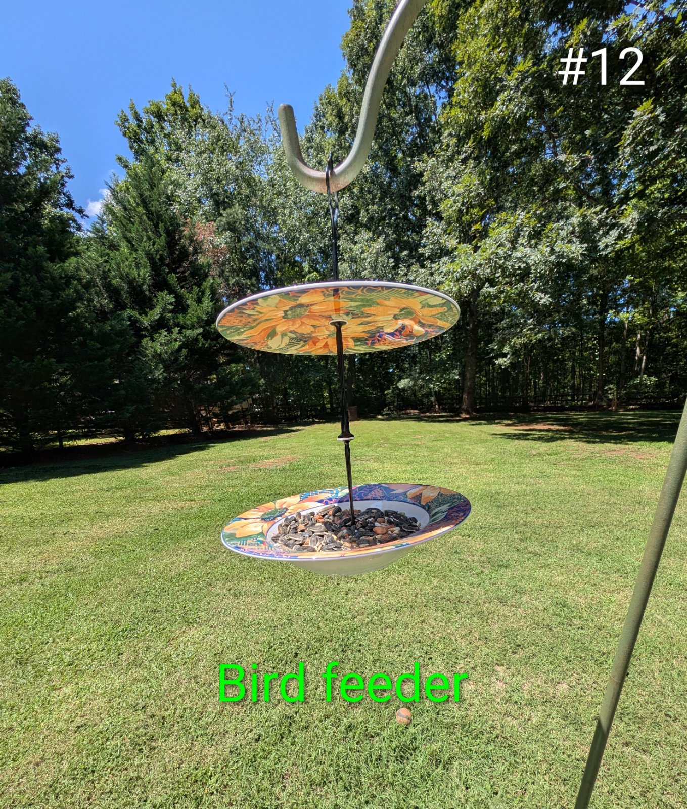 Birdfeeder #12 (1 of 1)