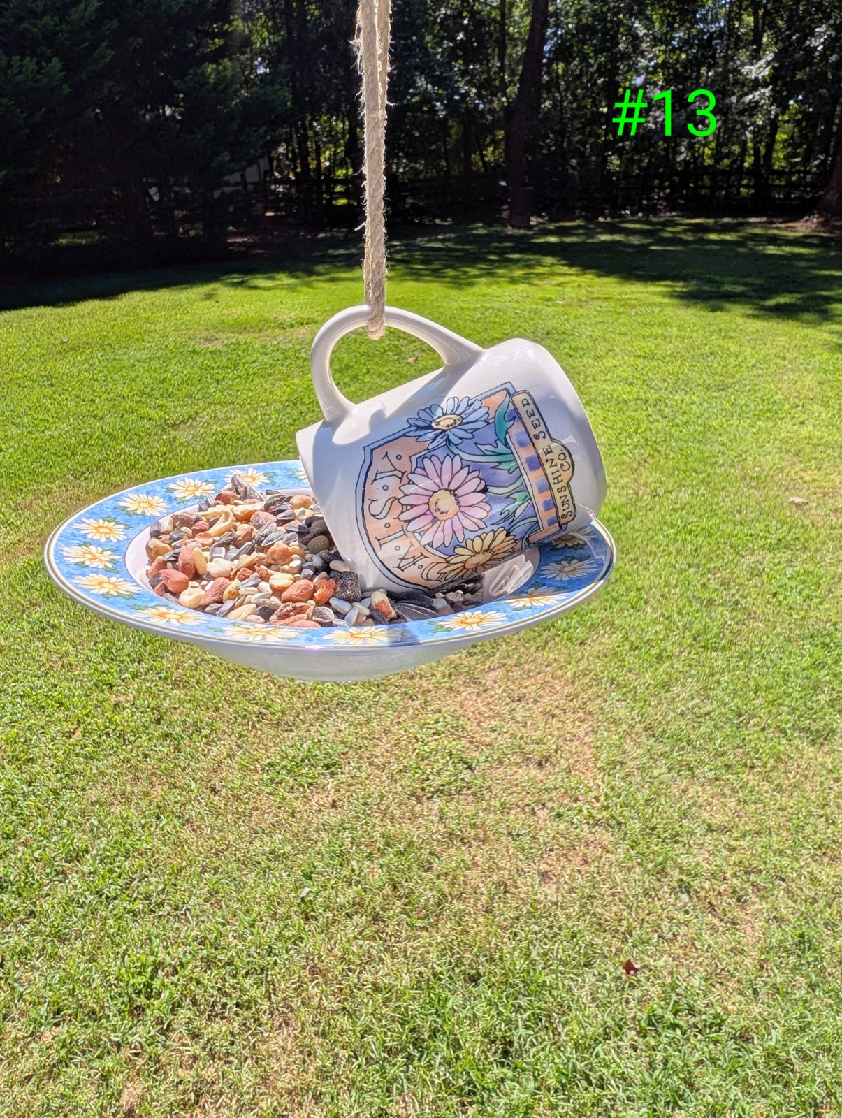 Birdfeeder No. 13 (1 of 1)