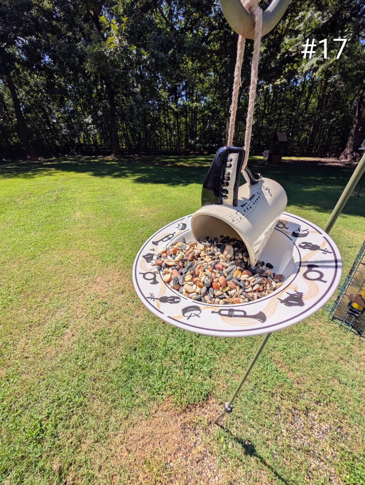 Birdfeeder No. 17 (1 of 1)