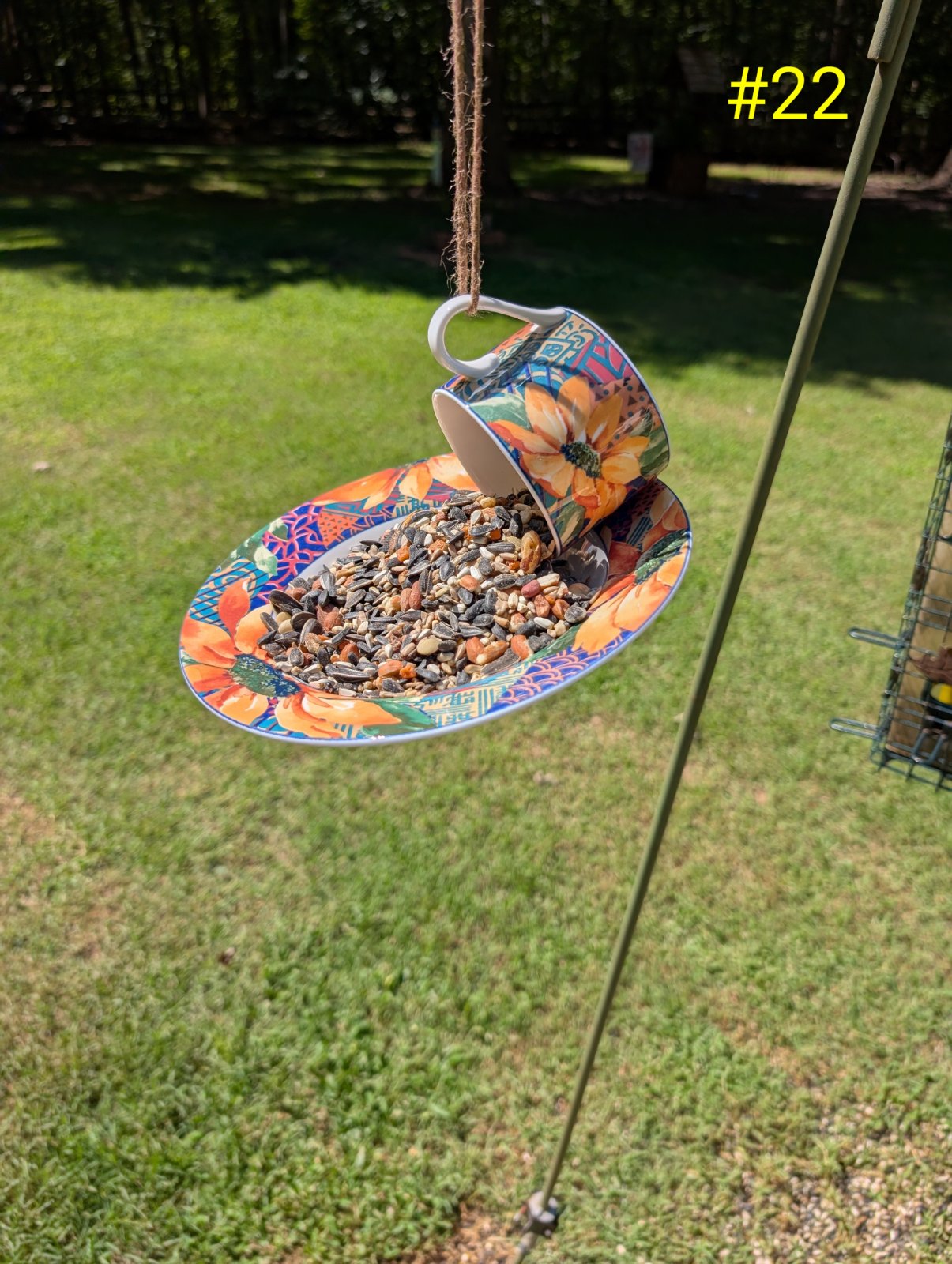 Birdfeeder No. 22 (1 of 1)