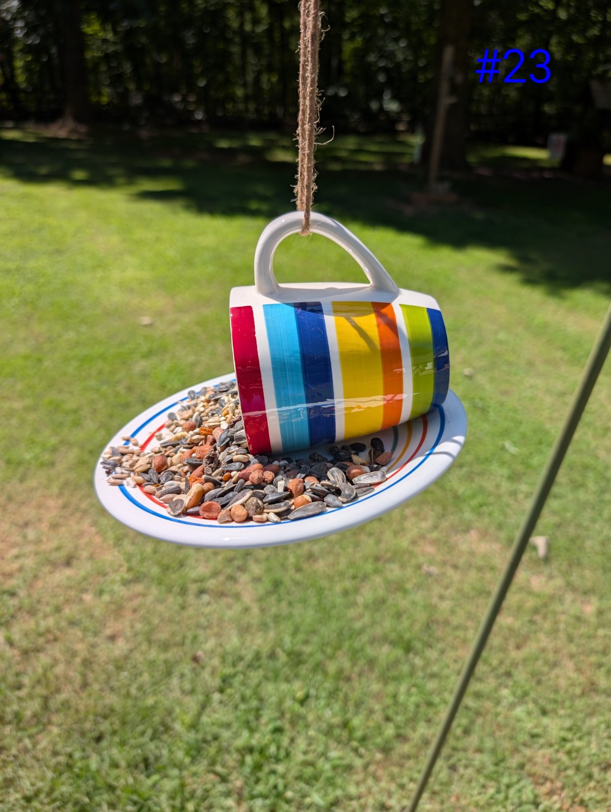 Birdfeeder No. 23 (1 of 1)