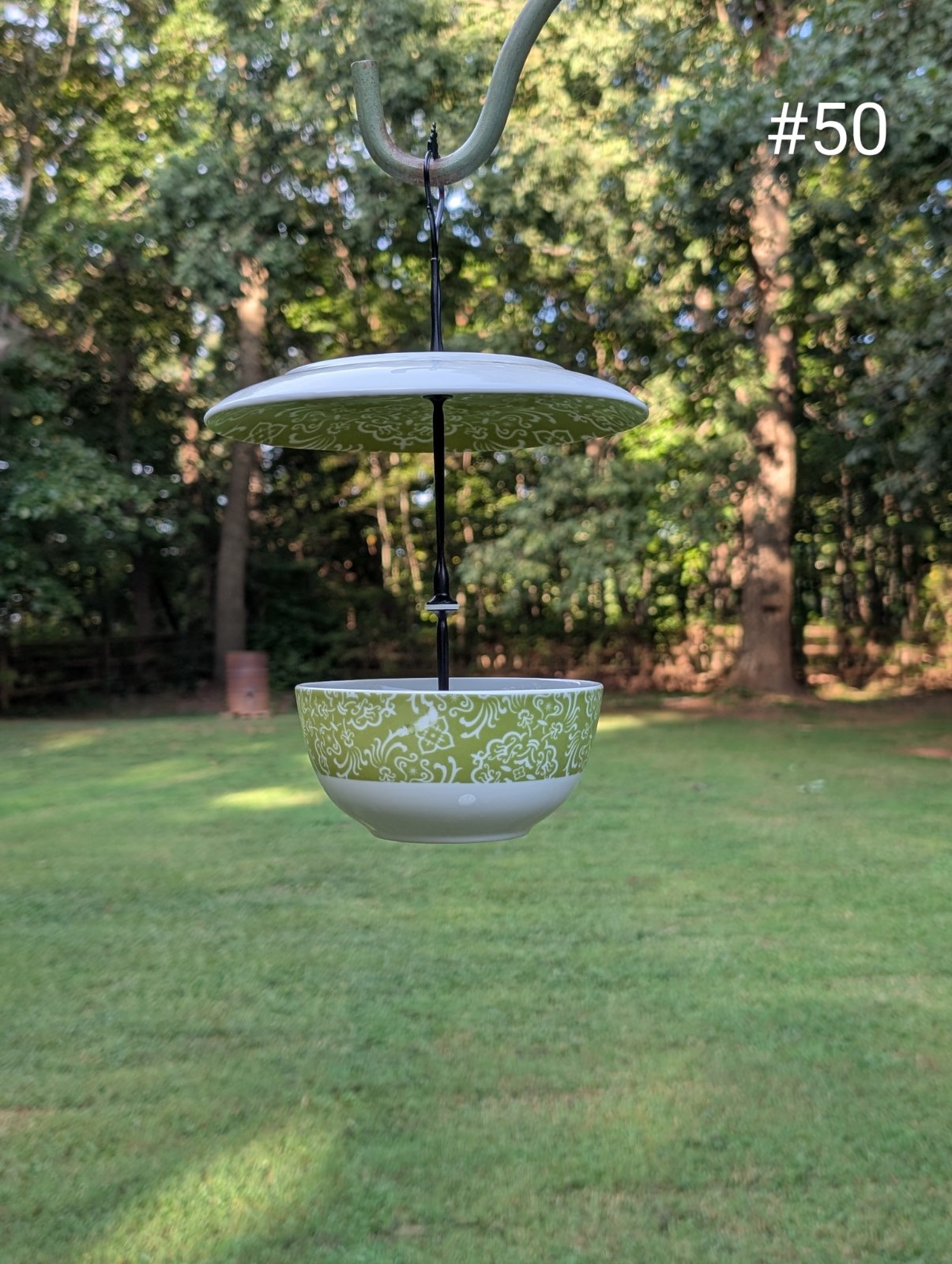 Birdfeeder No. 50 (1 of 1)