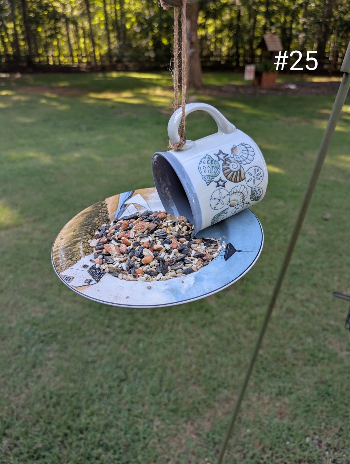 Birdfeeder No. 25 (1 of 1)