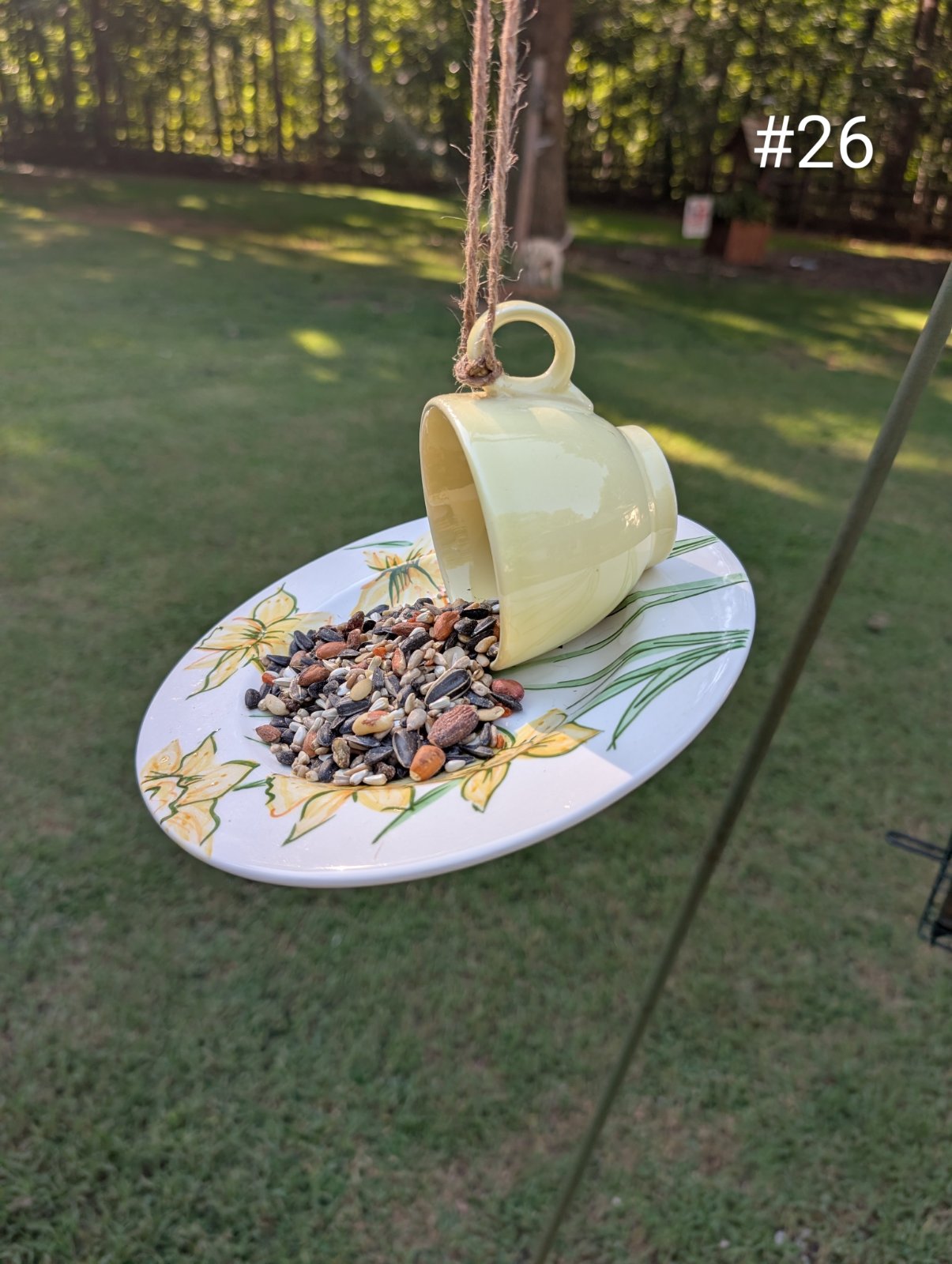 Birdfeeder No. 26 (1 of 1)