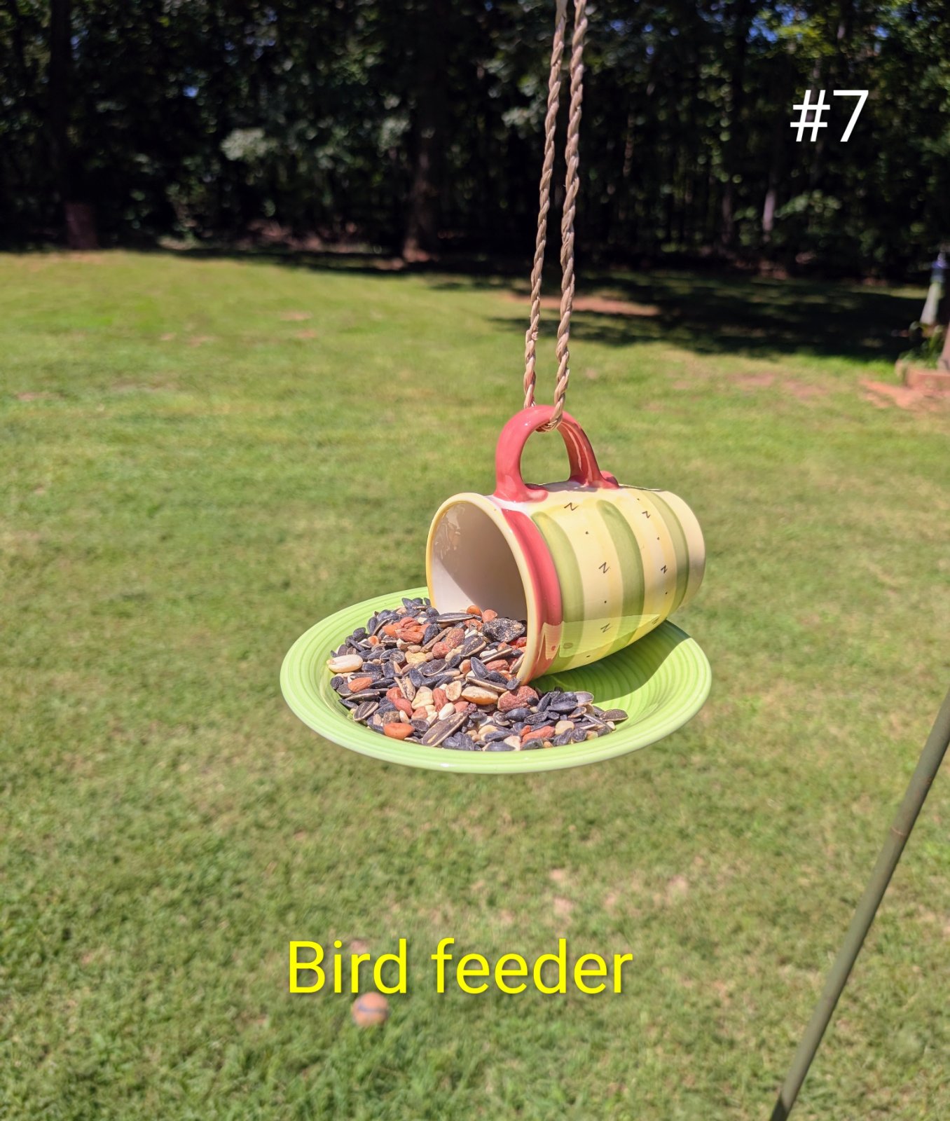 Birdfeeder #7 (1 of 1)