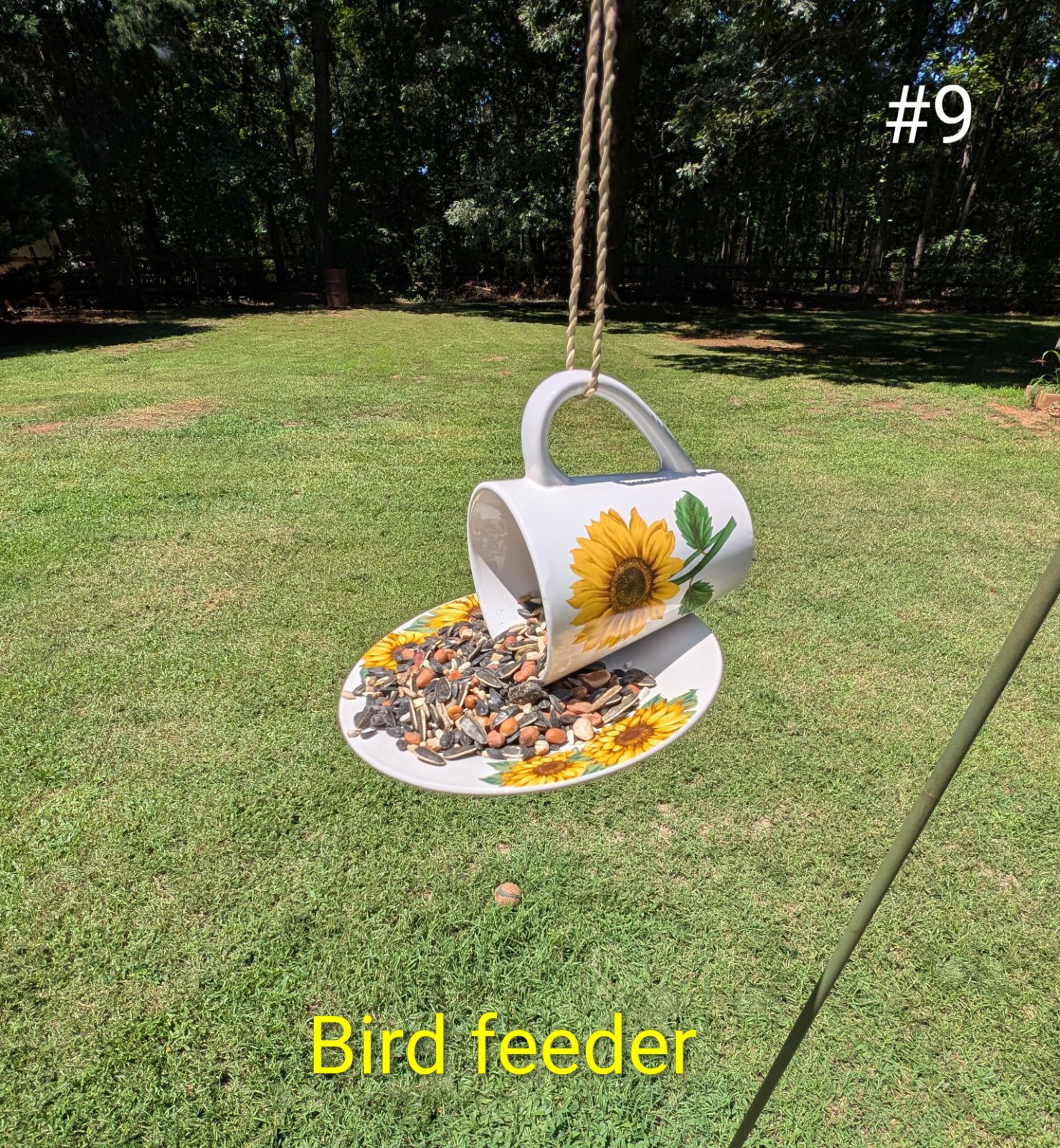 Birdfeeder #9 (1 of 1)