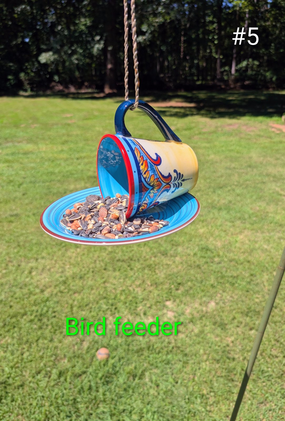 Birdfeeder #5 (1 of 1)