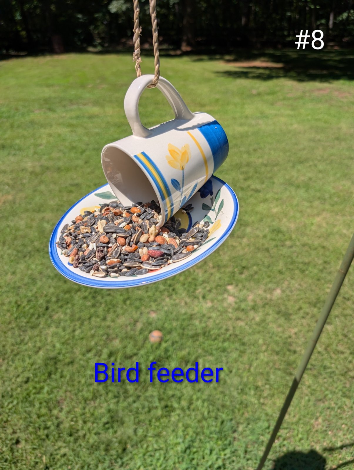 Birdfeeder #8 (1 of 1)