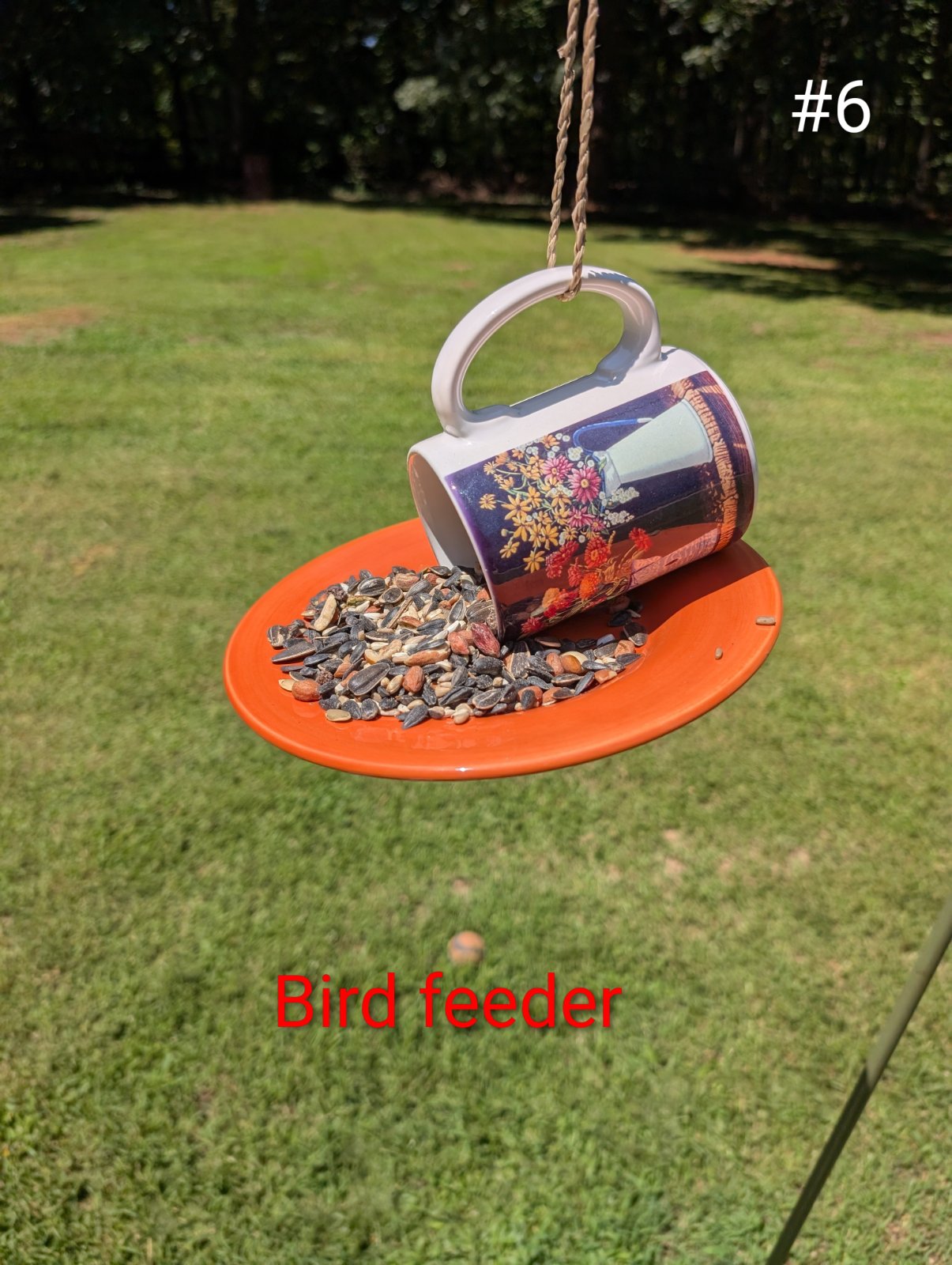 Birdfeeder #6 (1 of 1)