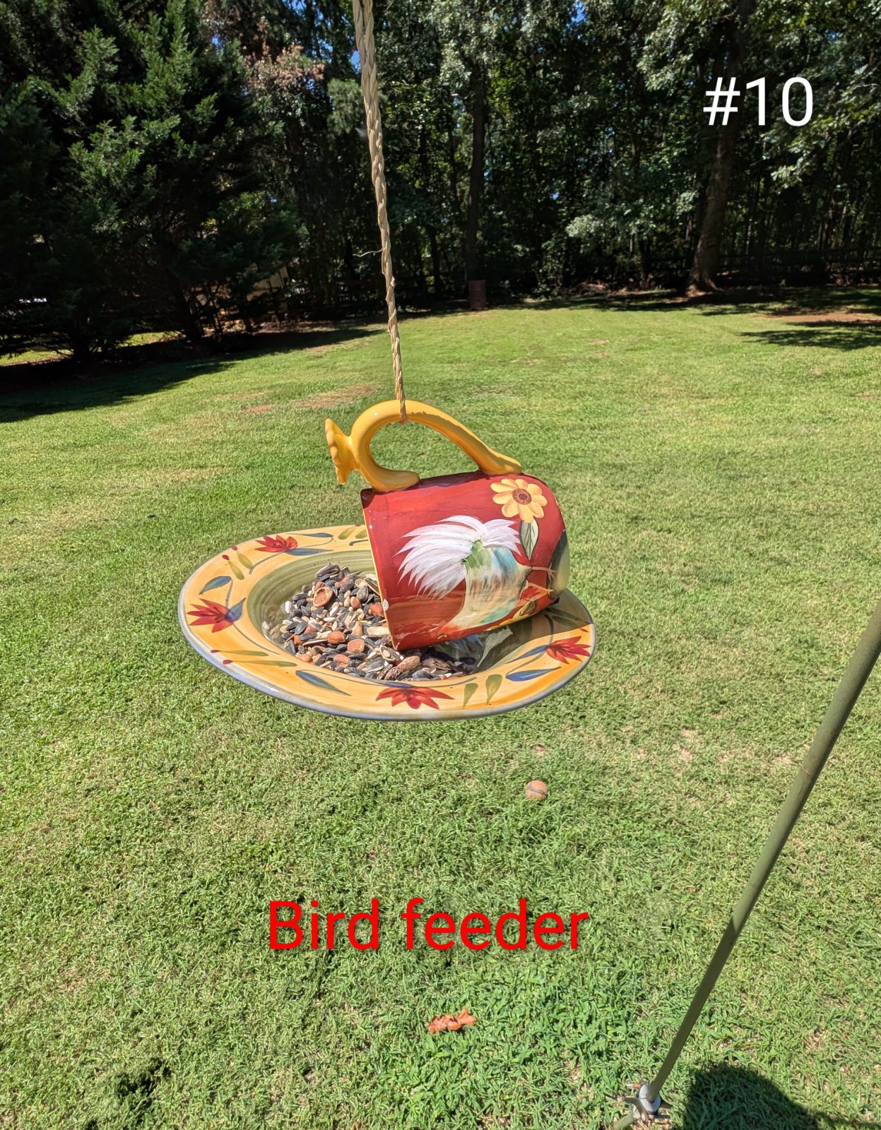 Birdfeeder #10 (1 of 1)